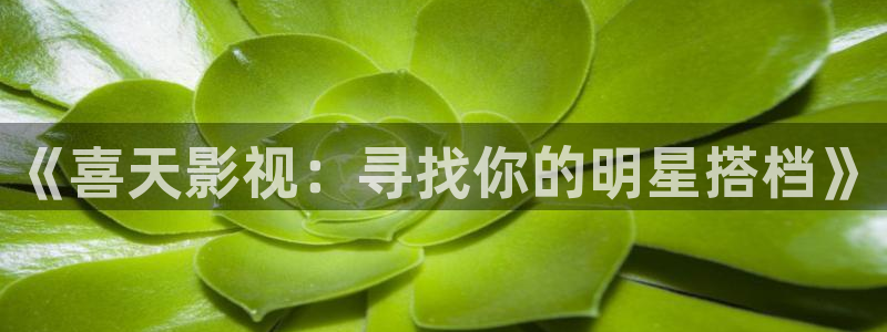 98秋霞电影网：《喜天影视：寻找你的明星搭档》