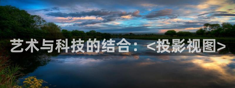 98影院手机免费观看：艺术与科技的结合：<投影视图>