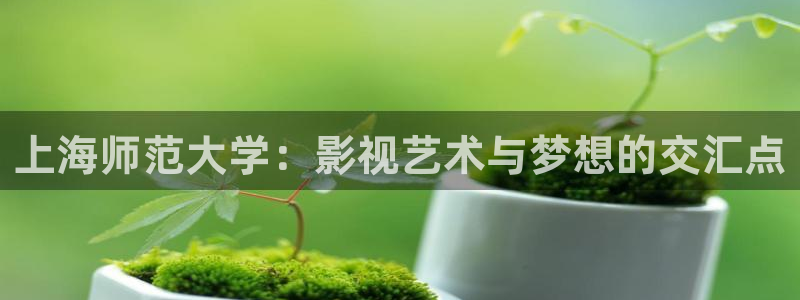98k影院：上海师范大学：影视艺术与梦想的交汇点
