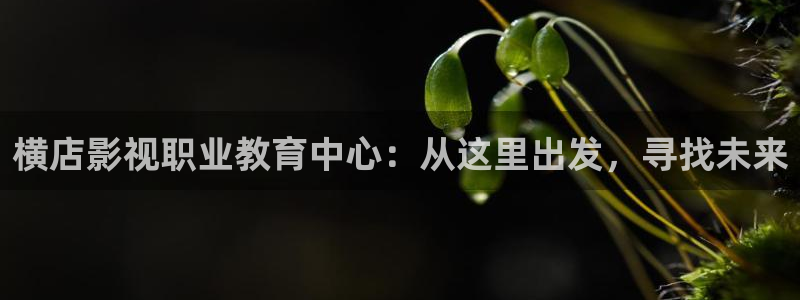 怨女1988台湾网盘高清