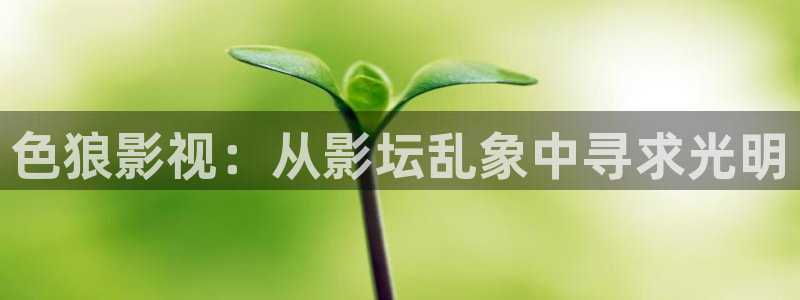 请回答1988 高清下载