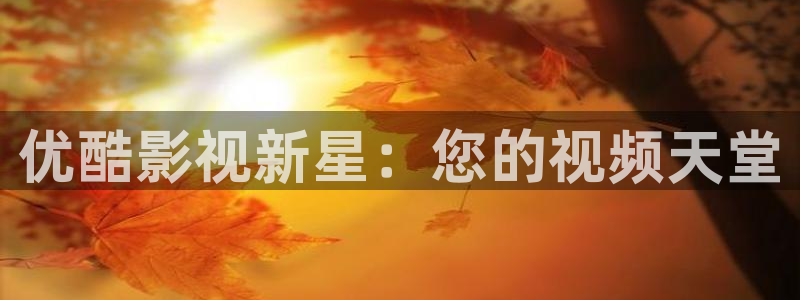 请回答1988 高清下载