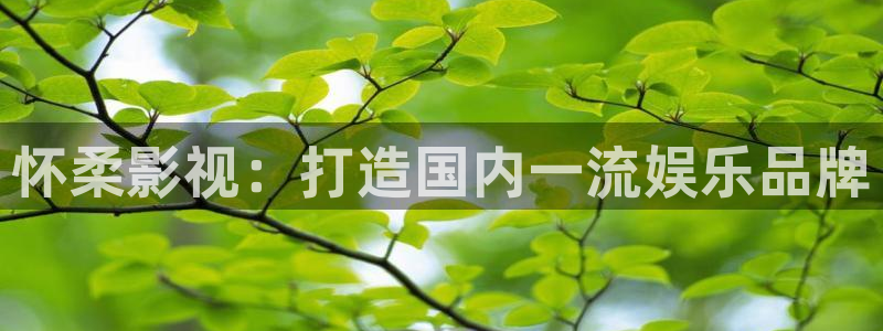 雨中情电影1988年完整版观看