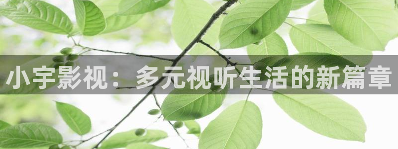 请回答1988在线观看星辰影院