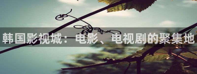 国产98超碰人人做人人爱