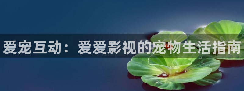 98影院手机免费观看